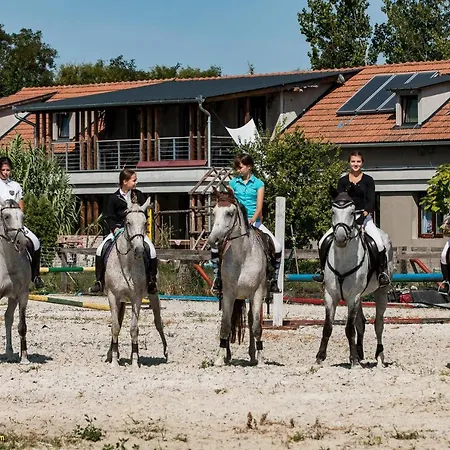 فندق مبيت وإفطار Silver Horse Ranch *