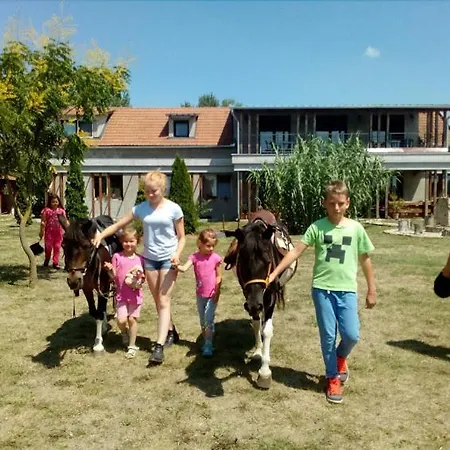 فندق مبيت وإفطار Silver Horse Ranch
