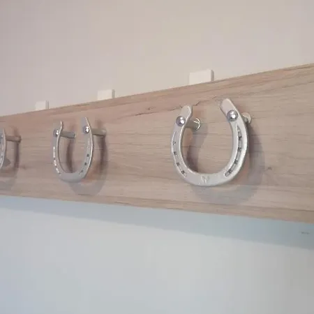 Silver Horse Ranch فندق مبيت وإفطار Békés