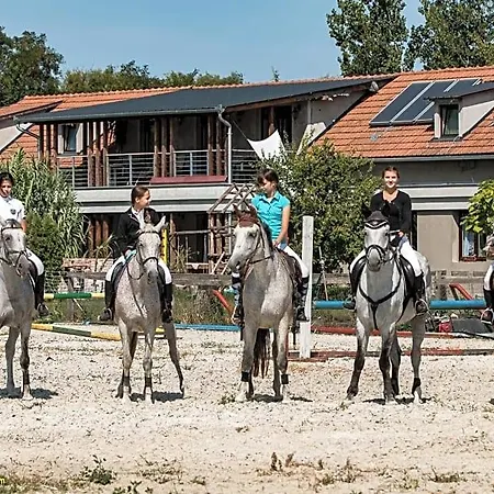 Silver Horse Ranch 3*