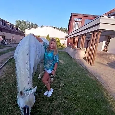 Silver Horse Ranch Békés