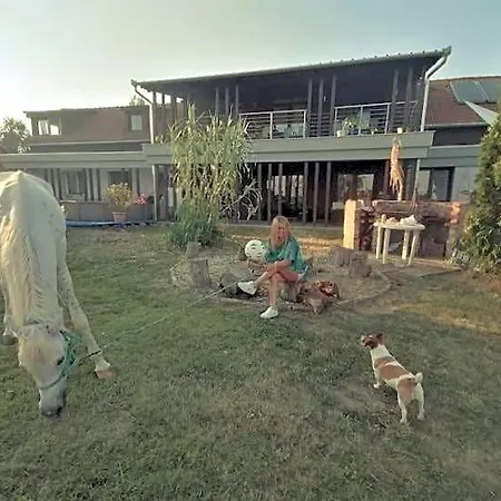 فندق مبيت وإفطار Silver Horse Ranch