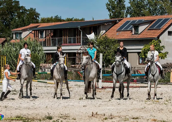 Oda ve Kahvaltı Silver Horse Ranch 3*